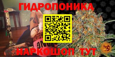 трава Комсомольск-на-Амуре